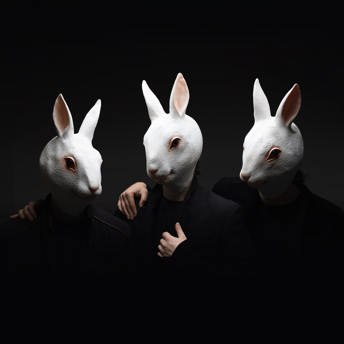 HISTRIATRIA-PROJECT